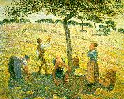 Camille Pissaro Apple Picking at Eragny sur Epte Sweden oil painting reproduction